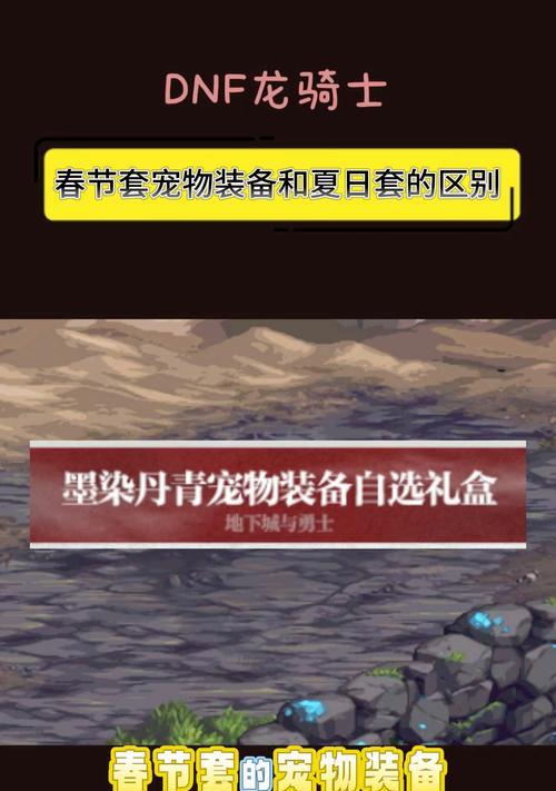 年套买不起时应选择哪种宠物？