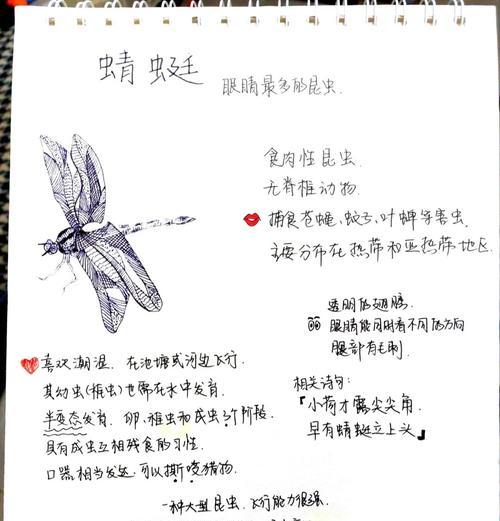 白蜻蜓进化条件是什么？进化后有哪些变化？