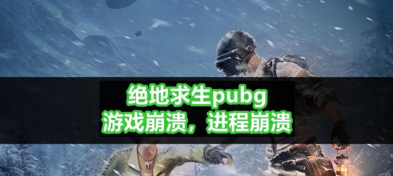 绝地求生整队崩溃解决方案是什么？如何快速恢复？