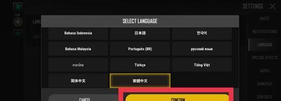 绝地求生中文设置在哪里？如何调整语言选项？