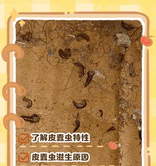 我的世界蠹虫如何有效击杀？