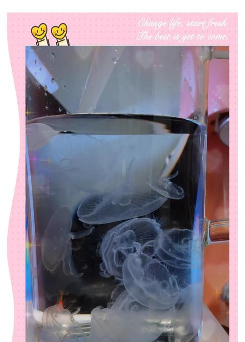 新宠物水母的打法是什么？部落冲突中如何击败水母？