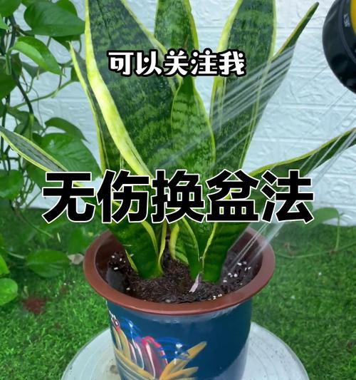 我的世界盆栽如何拆除？拆除盆栽的正确方法是什么？