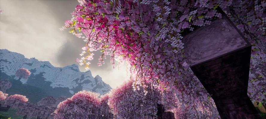 我的世界花海调整方法是什么？
