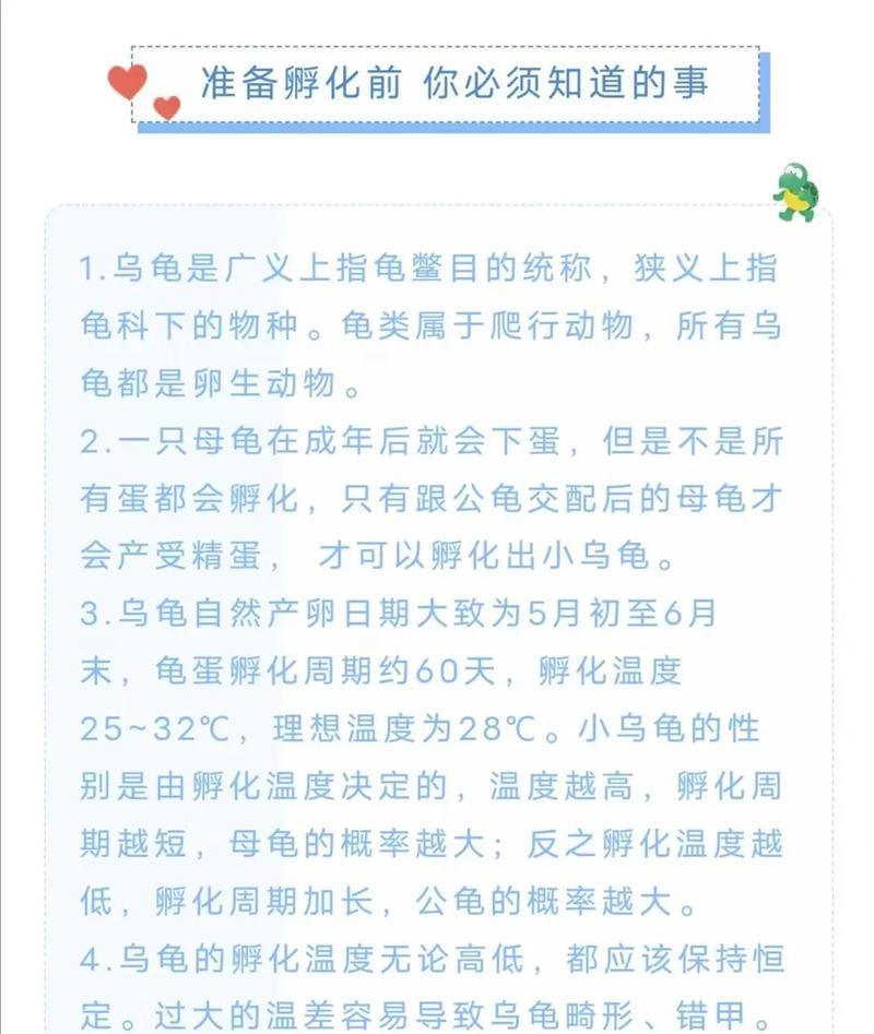 《我的世界》幼龟孵化方法？孵化幼龟需要什么条件？