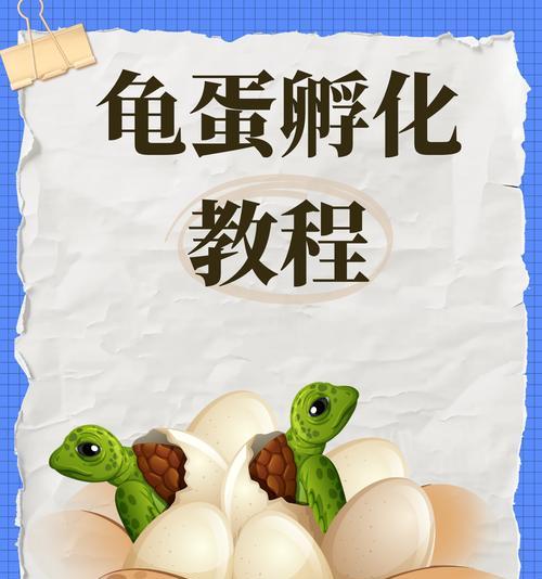 《我的世界》幼龟孵化方法？孵化幼龟需要什么条件？
