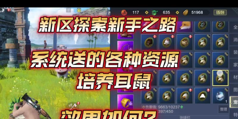 《妄想山海宠物培养技巧大揭秘》（掌握培养技巧）