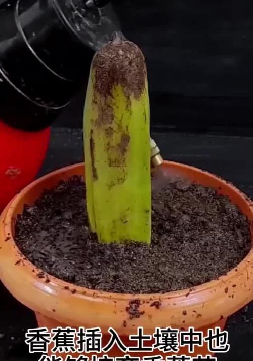 我的世界中香蕉种植方法是什么？