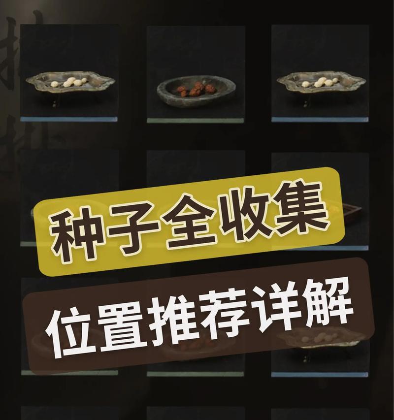QQ音速种子的用途及获取方法（以游戏为主的种子获取指南）