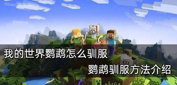 我的世界中鹦鹉的驯服方法是什么？