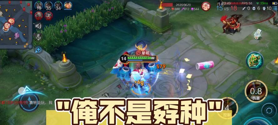 王者夹子荣耀怎么玩？有哪些技巧可以提高游戏体验？