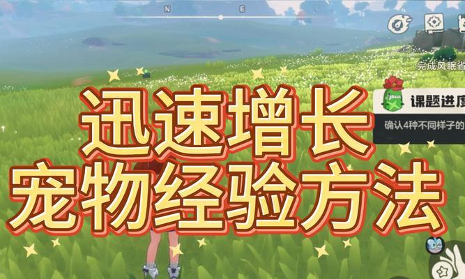 《QQ炫舞》游戏中延长宠物寿命的小技巧经验（学习这些技巧）