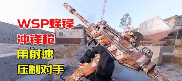 使命召唤手游冲锋枪双持解锁方法（玩转游戏）