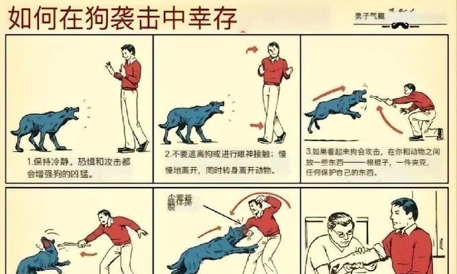 绝地求生二爬行方法是什么？爬行后有何优势？