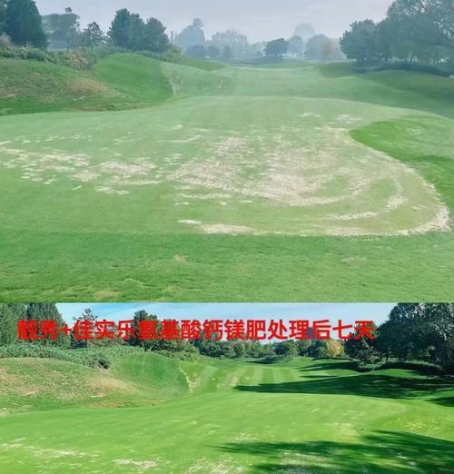 绝地求生中草地变绿的方法是什么？草地颜色对游戏有何影响？
