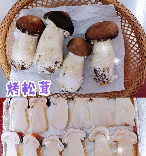 玩转小森生活松茸的刷法秘籍（掌握关键地点）
