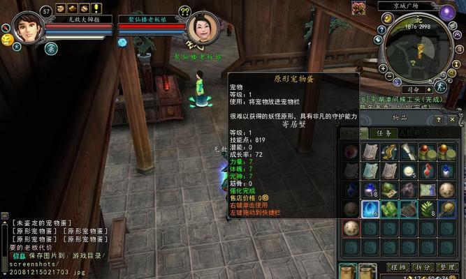 寻仙宠物无用时如何处理？