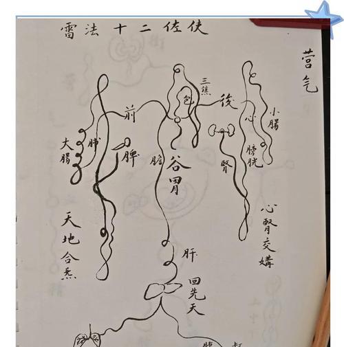 寻仙形神站住的方法是什么？如何保持形神稳定？