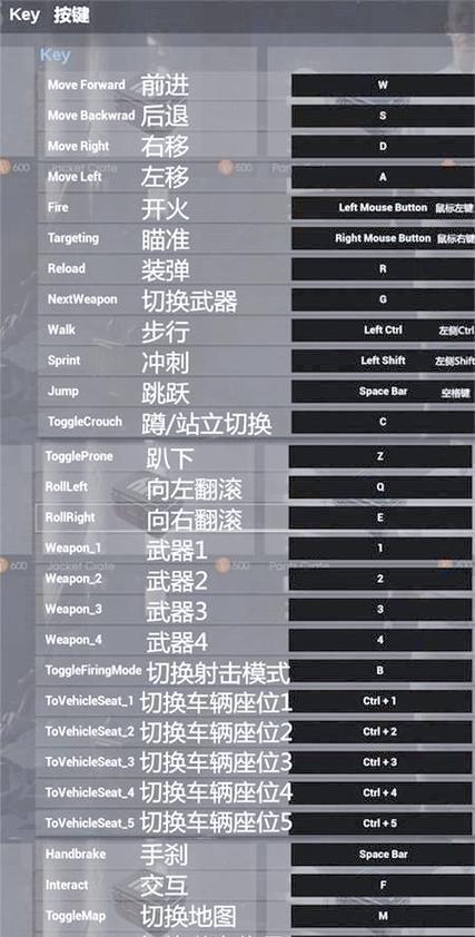 绝地求生支持聋哑玩家吗？有哪些辅助功能？
