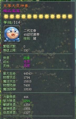 《征途2s天元实用技巧大全》（如何在游戏中成为顶尖高手）