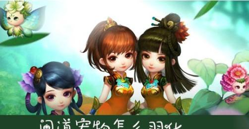 问道手游宠物羽化条件是什么？如何进行羽化操作？