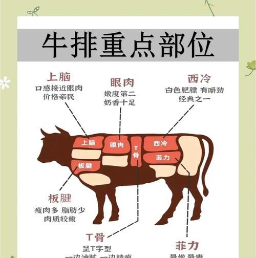 《以小森生活牛排，带你享受美味牛排的制作乐趣》（以游戏为主的牛排料理制作方法详解）