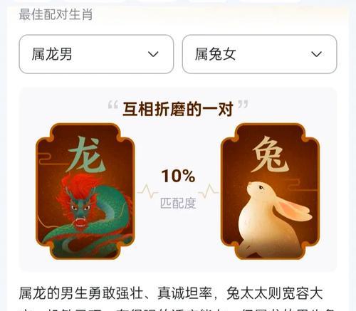 龙兔技能打造流程是什么？如何提升龙兔技能效果？