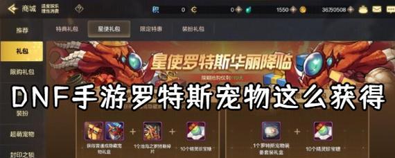 《DNF手游》宠物装备获取攻略（如何通过不同方式获得宠物装备）