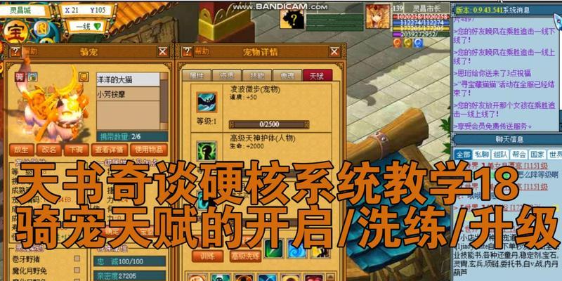 寻仙如何抓取骑宠？抓取骑宠有哪些技巧？