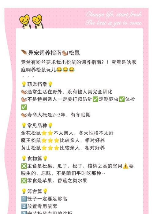 大话西游2经典版中松鼠的培养方法是什么？