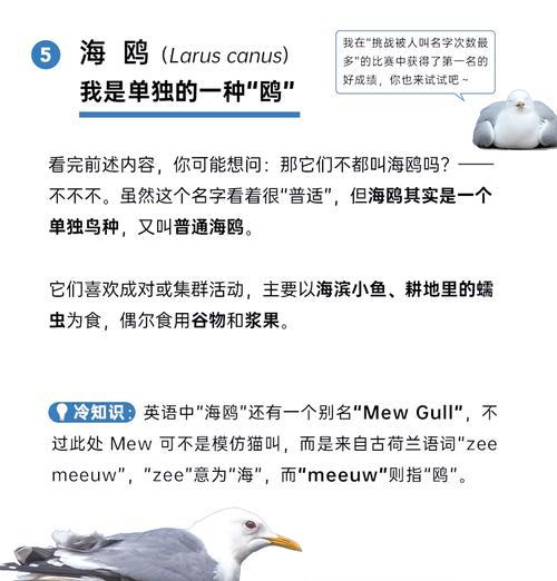 绝地求生海鸥兑换券获取途径有哪些？如何兑换海鸥？