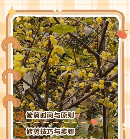旅行青蛙中国之旅（以游戏为媒介）