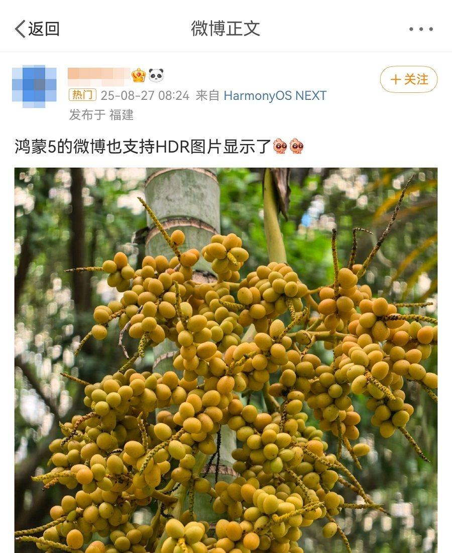 微博鸿蒙版首发支持 HDR Vivid，鸿蒙 5 用户迎来影像浏览新突破！
