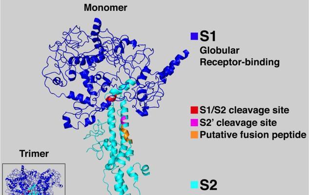 穿越火线自伤掉血的操作步骤是什么？